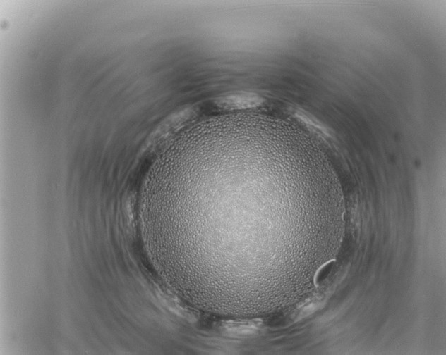 X0000060750373200511171129