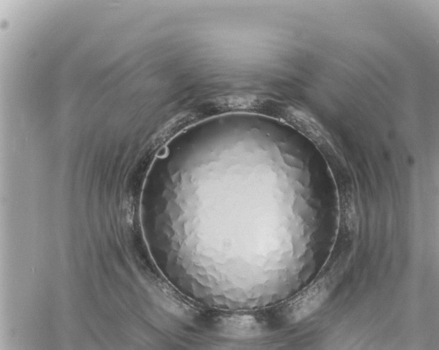 X0000060750374200511171129