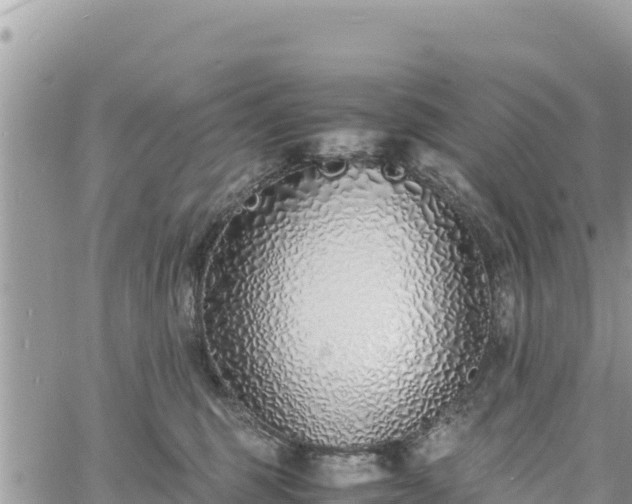 X0000060750375200511171129