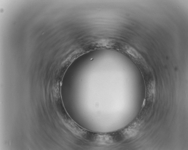 X0000060750376200511171129