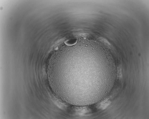 X0000060750377200511171129