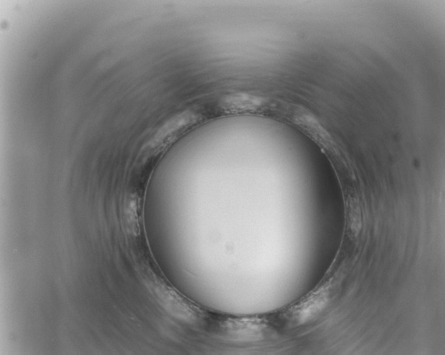 X0000060750378200511171129