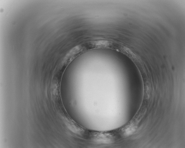 X0000060750379200511171129