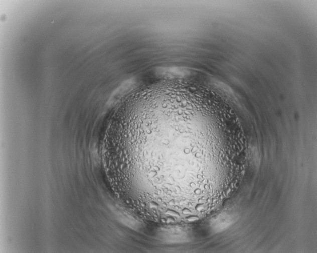 X0000060750381200511171129