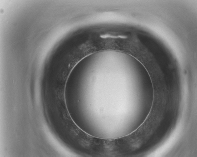 X0000060750382200511171129