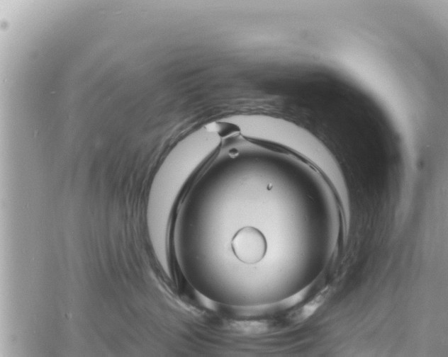 X0000060750383200511171129