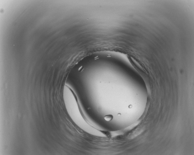 X0000060750384200511171129