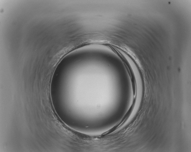 X0000060750385200511171128