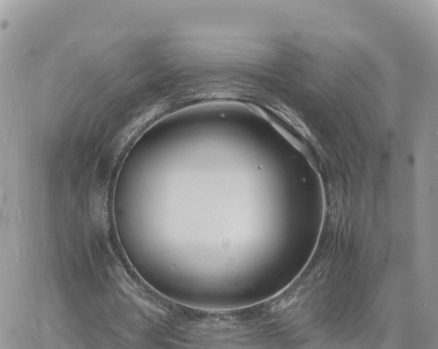 X0000060750386200511171128