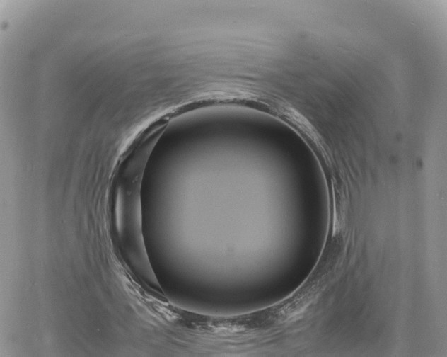 X0000060750387200511171128