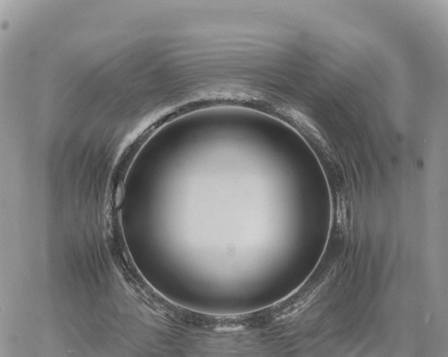 X0000060750388200511171128