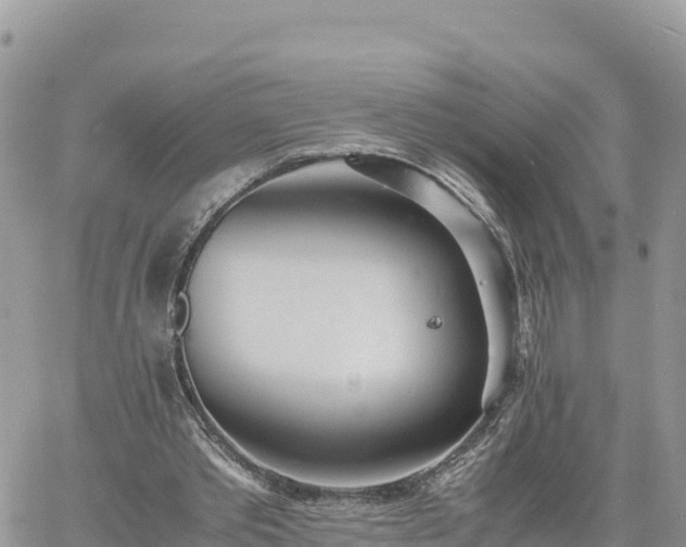 X0000060750389200511171128