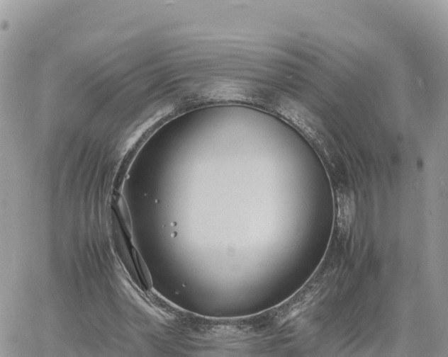 X0000060750390200511171128