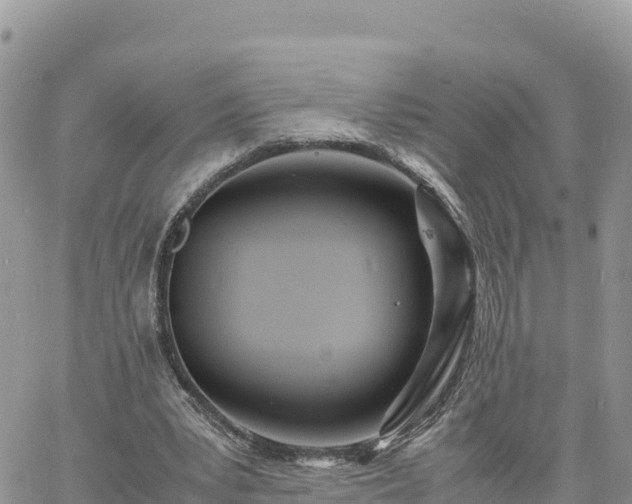 X0000060750391200511171128