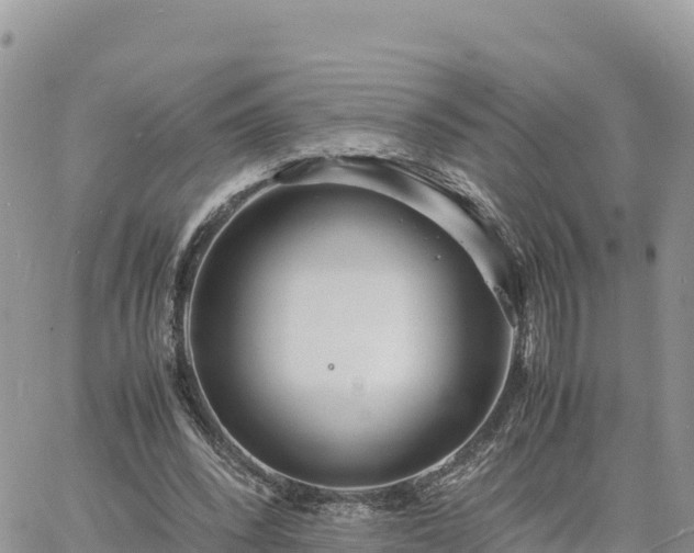 X0000060750392200511171128