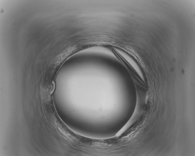 X0000060750393200511171128