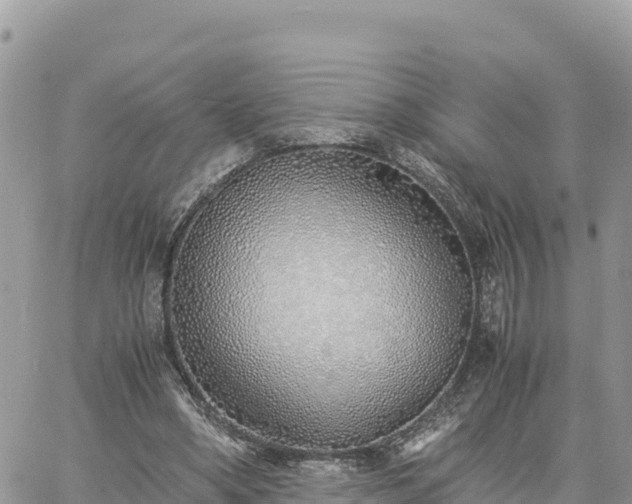 X0000060750394200511171128