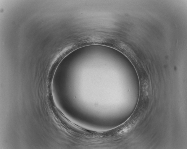 X0000060750395200511171128