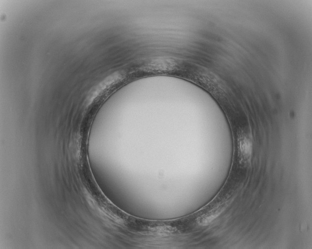 X0000060750396200511171128