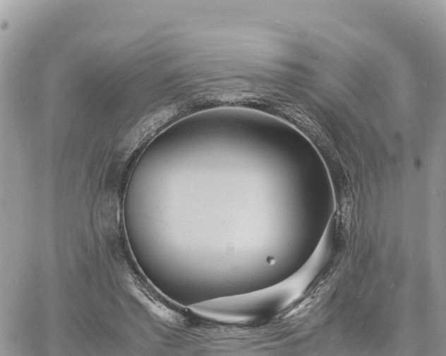 X0000060750397200511171128