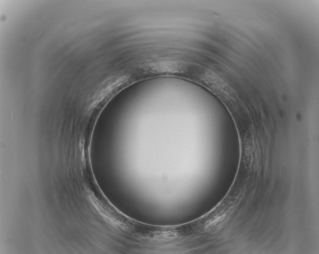 X0000060750398200511171128