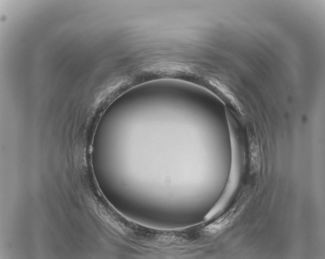 X0000060750399200511171128