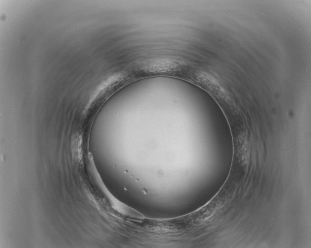 X0000060750400200511171128