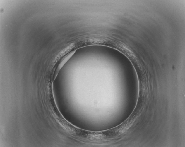 X0000060750401200511171128