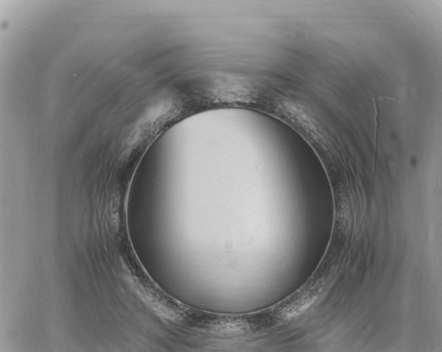 X0000060750402200511171128