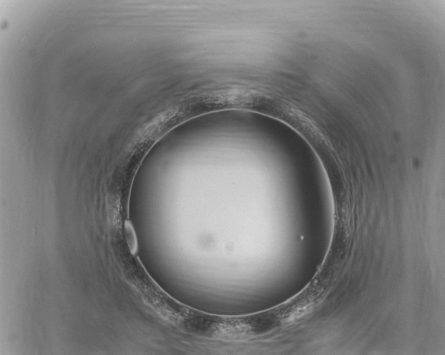 X0000060750403200511171128