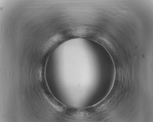 X0000060750404200511171128