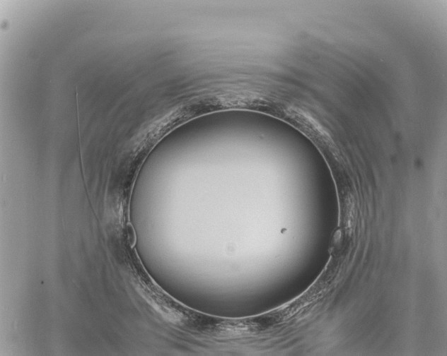 X0000060750405200511171128