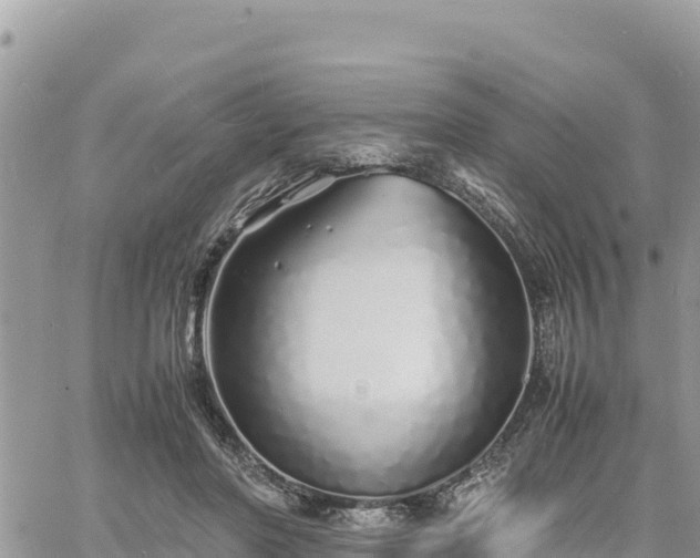 X0000060750406200511171128