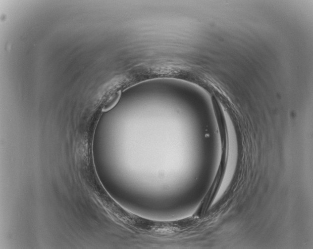 X0000060750407200511171128