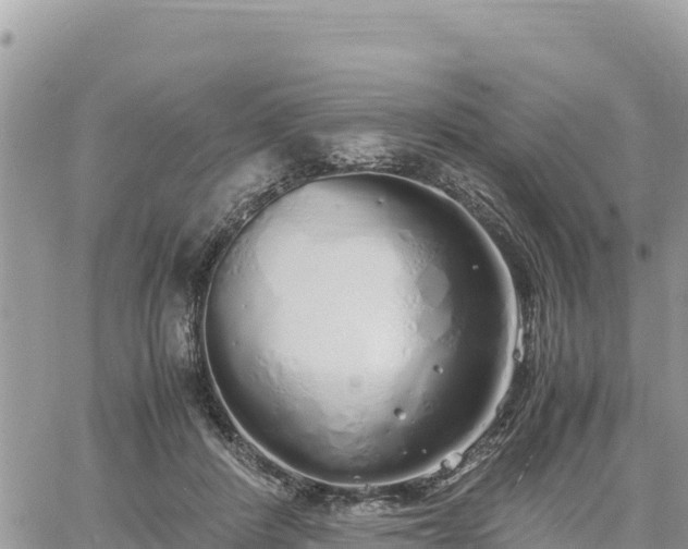 X0000060750408200511171128