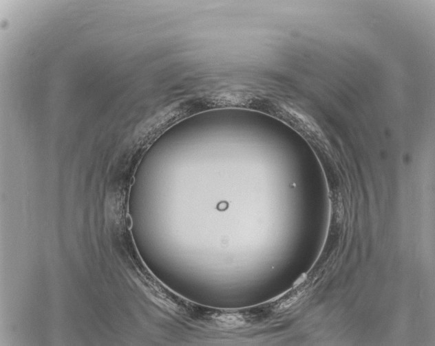 X0000060750409200511171128