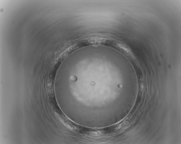 X0000060750411200511171128