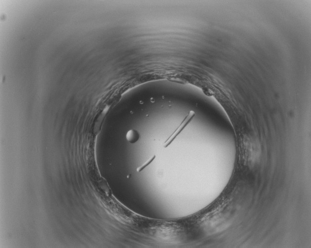 X0000060750412200511171128