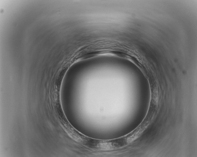 X0000060750413200511171128