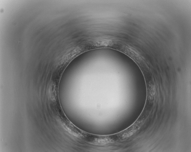 X0000060750414200511171128