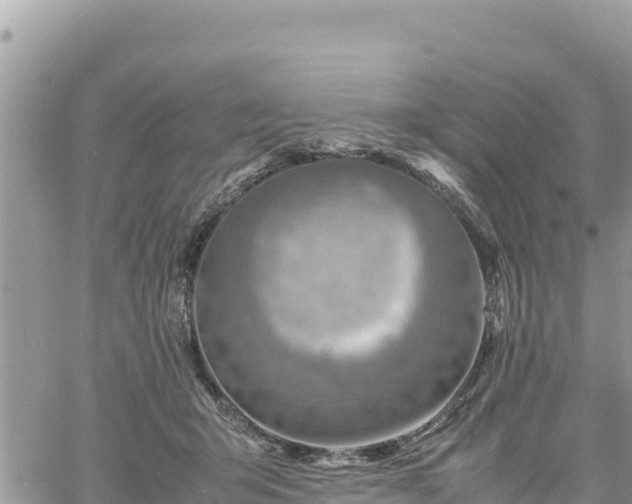 X0000060750415200511171127