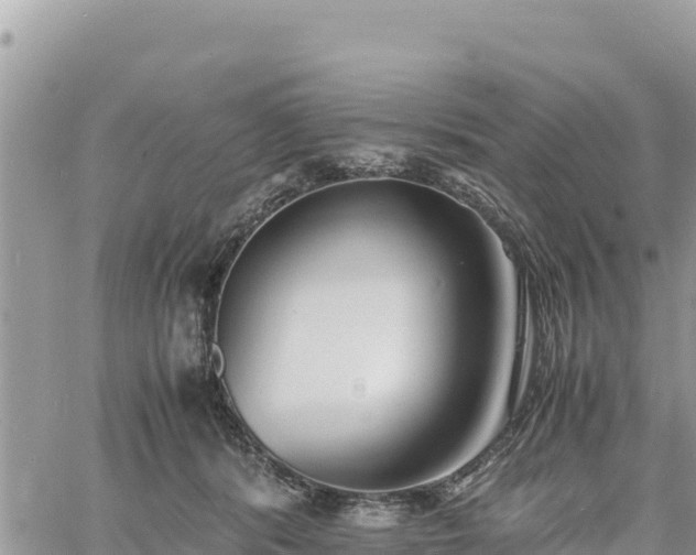 X0000060750416200511171127