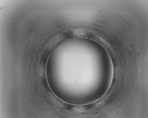 X0000060750417200511171127