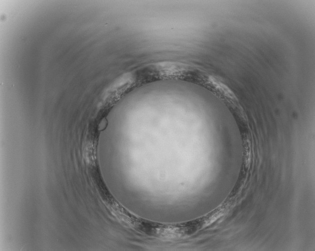 X0000060750419200511171127