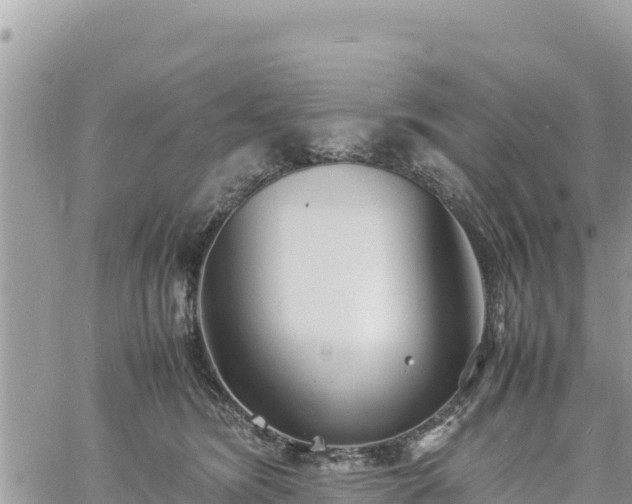 X0000060750420200511171127