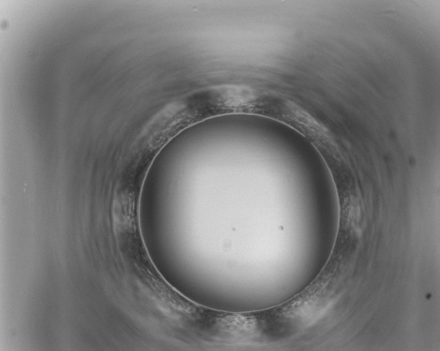 X0000060750421200511171127