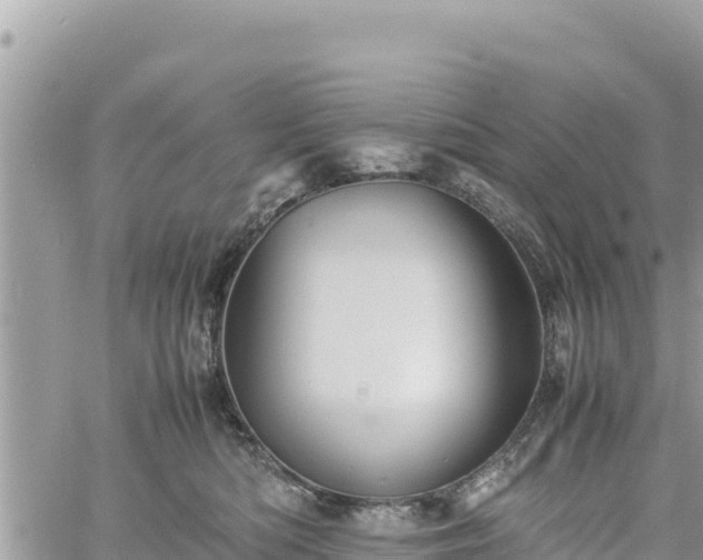 X0000060750422200511171127