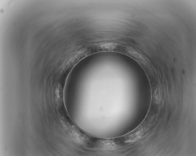 X0000060750424200511171127