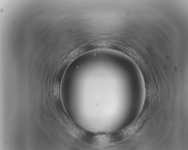 X0000060750425200511171127