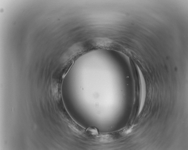 X0000060750428200511171127